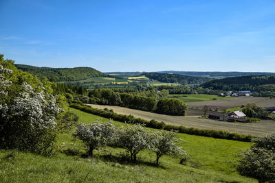 Scenic view of agricultural field against blue sky