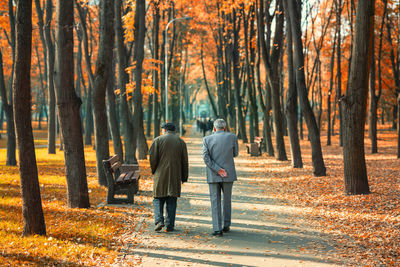 Rear view of men walking amidst trees in park during autumn