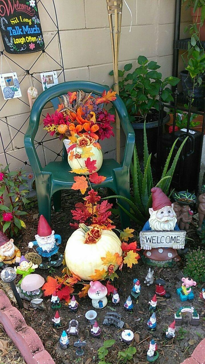 CLOSE-UP OF FLOWER PLANTS