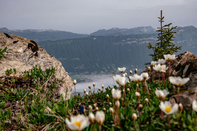 Scenic view of sea and mountains against sky