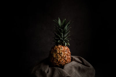 Close-up of fruit against black background