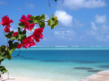 Close-up of fresh blue sea against sky