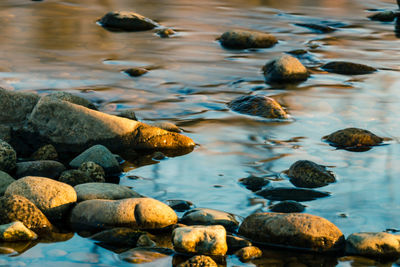 Rocks in sea