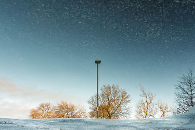 Clear winter skies and the tops of trees reflected in a pool of rain water 