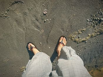 Low section of woman standing on ground