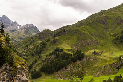 Scenic view of green landscape and mountains against sky