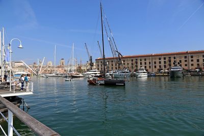 Sailboats moored in marina