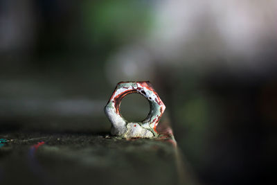 Close-up of rusty ring on metal