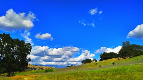 Scenic view of grassy field against cloudy sky