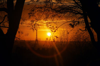 Silhouette trees against sky during sunset