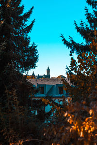 Low angle view of trees and building against clear blue sky