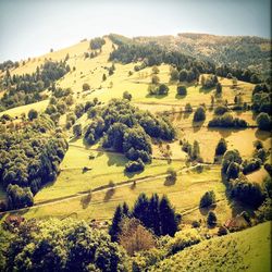 Scenic view of grassy field against sky