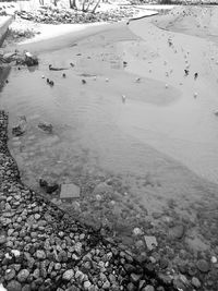 Scenic view of beach