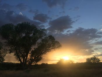 Scenic view of landscape at sunset