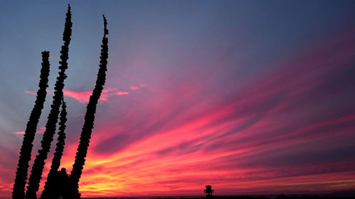 Blue and red sunset