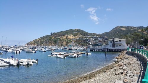 Sailboats moored in harbor by city against sky