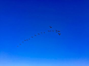 Low angle view of birds flying in sky