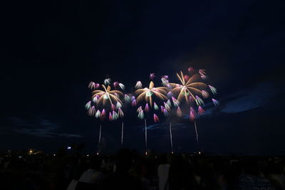 Low angle view of firework display at night