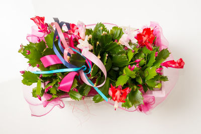 High angle view of red roses against white background