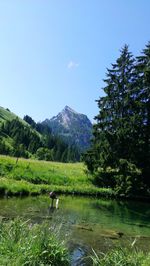 Scenic view of green landscape and lake against sky