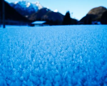 Close-up of snow on land