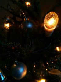 Low angle view of illuminated christmas tree at night