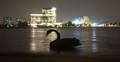 Sea by illuminated city against sky at night