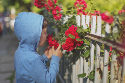 Boy smelling red roses by fence at park