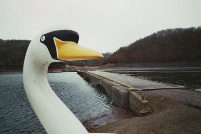 Close-up of bird by lake against sky