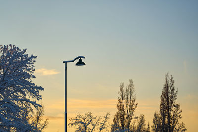 Street lantern against the sunset sky and trees in the snow.