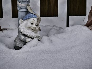 Close-up of dog statue during winter