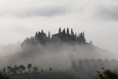 Panoramic view of trees on landscape against cloudy sky