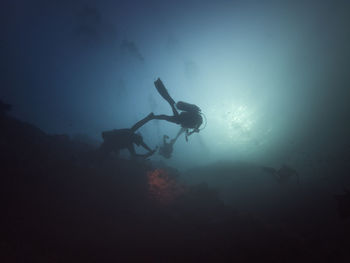 Silhouette people scuba diving in sea