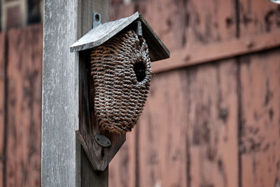 Close-up of wooden post on roof of building