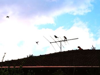 Low angle view of silhouette birds on roof against sky