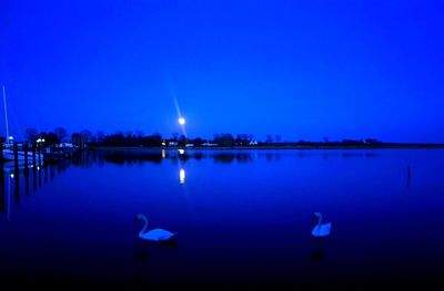 Birds swimming in lake against blue sky