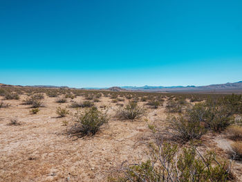 Scenic view of desert against clear blue sky