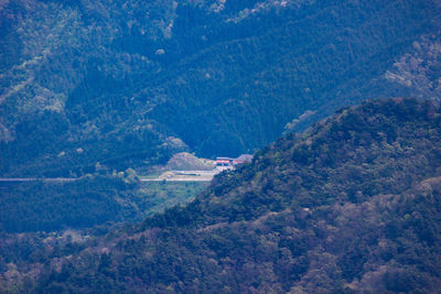 High angle view of trees on mountain