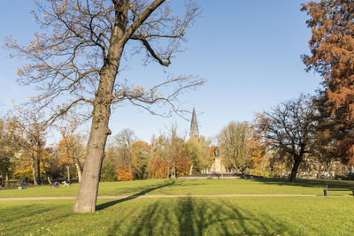 Trees on field against clear sky during autumn