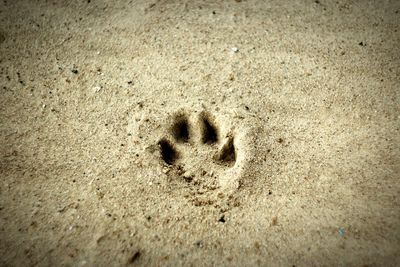 High angle view of footprints on sand at beach