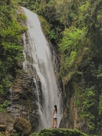 Scenic view of waterfall in forest