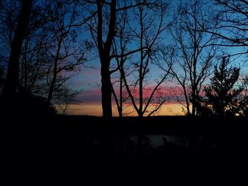 Silhouette trees against sky during sunset