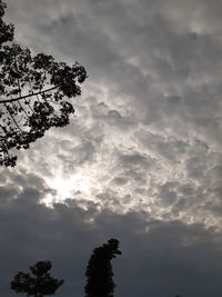 Low angle view of silhouette tree against sky