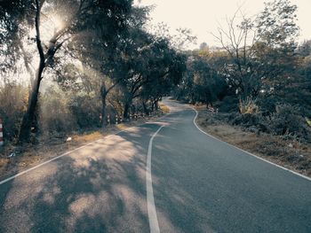 Road amidst trees