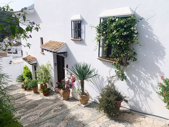 High angle view of potted plants outside building