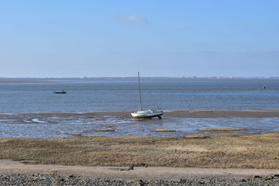 Sailboats moored on sea against sky