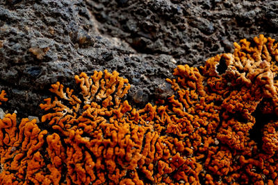 Full frame shot of rocks on sea shore