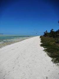 Scenic view of beach against clear blue sky