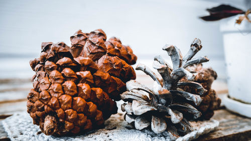 Close-up of pine cone on table