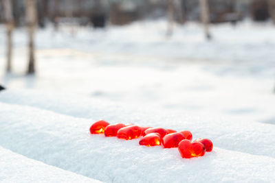 winter